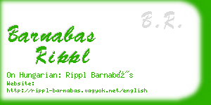 barnabas rippl business card